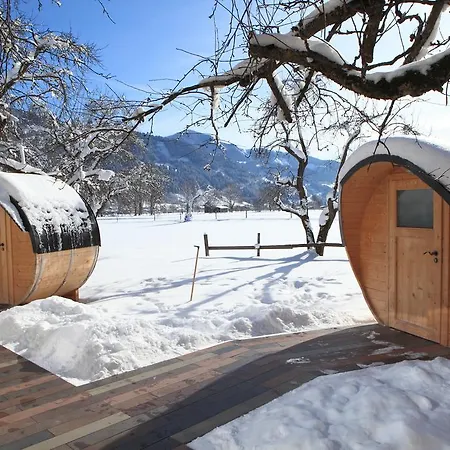 Lejlighed Schloss Saalhof Maishofen