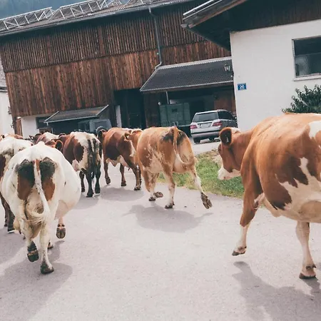 Lejlighed Schloss Saalhof *