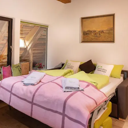 Schloss Saalhof Διαμέρισμα Maishofen