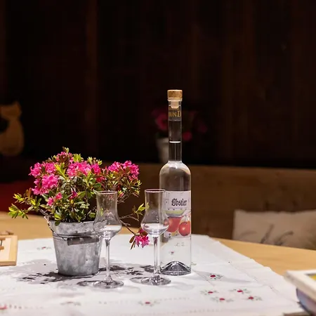 Apartment Schloss Saalhof