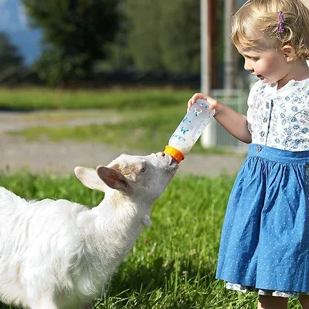Schloss Saalhof * Maishofen
