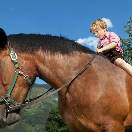 Schloss Saalhof Apartment Maishofen