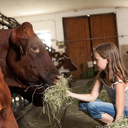 Schloss Saalhof Lejlighed *