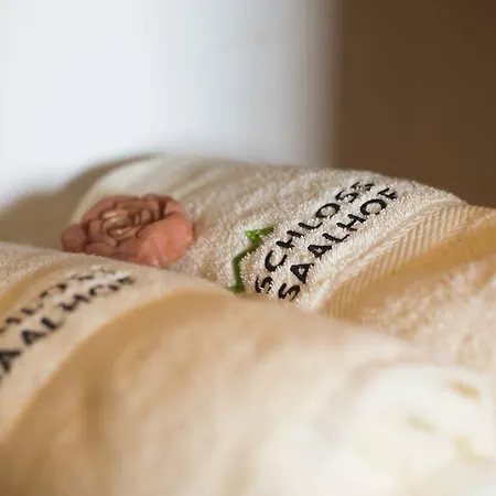 Schloss Saalhof Maishofen