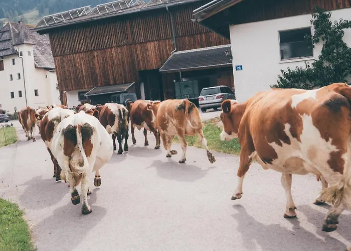 Διαμέρισμα Schloss Saalhof *