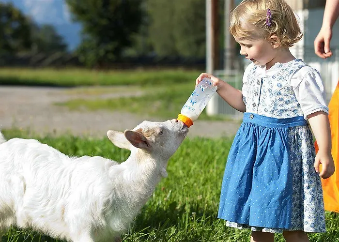 Schloss Saalhof * Maishofen