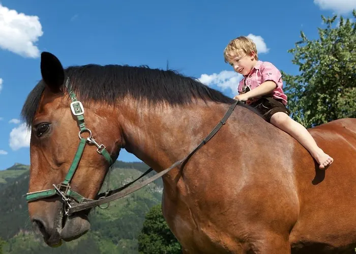 Schloss Saalhof Διαμέρισμα Maishofen
