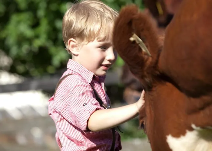 Schloss Saalhof * Maishofen