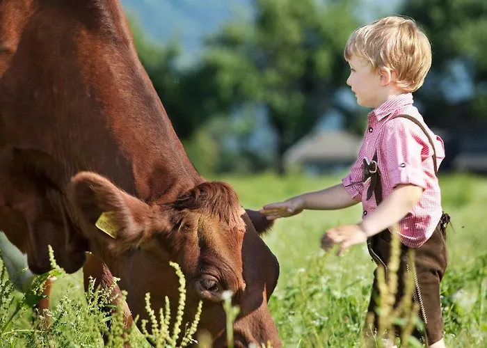 Διαμέρισμα Schloss Saalhof *