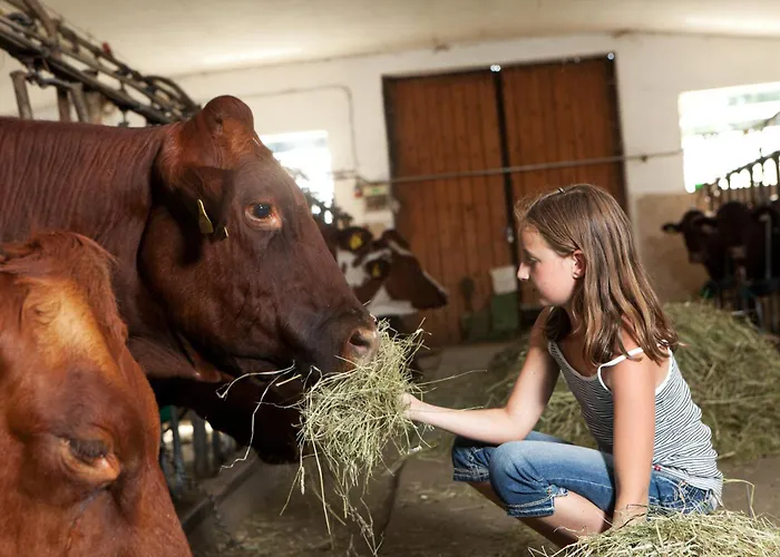 Schloss Saalhof Διαμέρισμα *