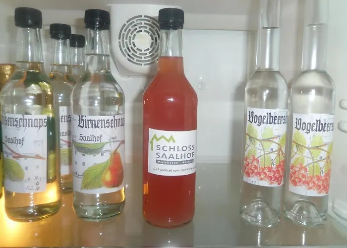 Διαμέρισμα Schloss Saalhof Maishofen